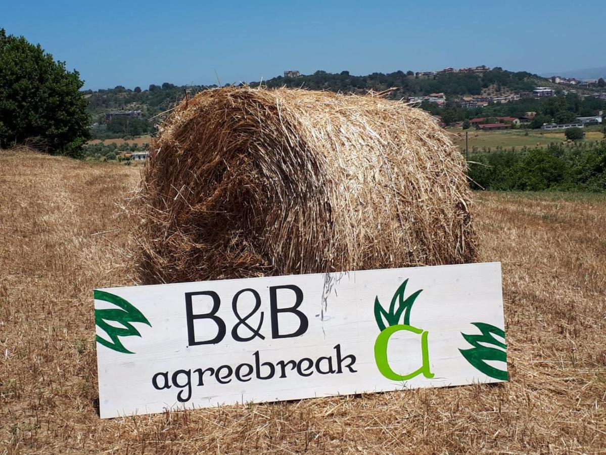 ريندي B&B Agreebreak المظهر الخارجي الصورة