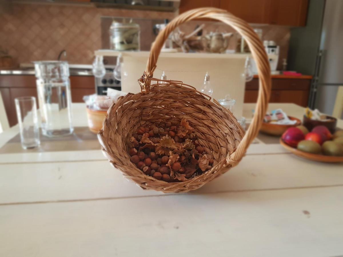 ريندي B&B Agreebreak المظهر الخارجي الصورة